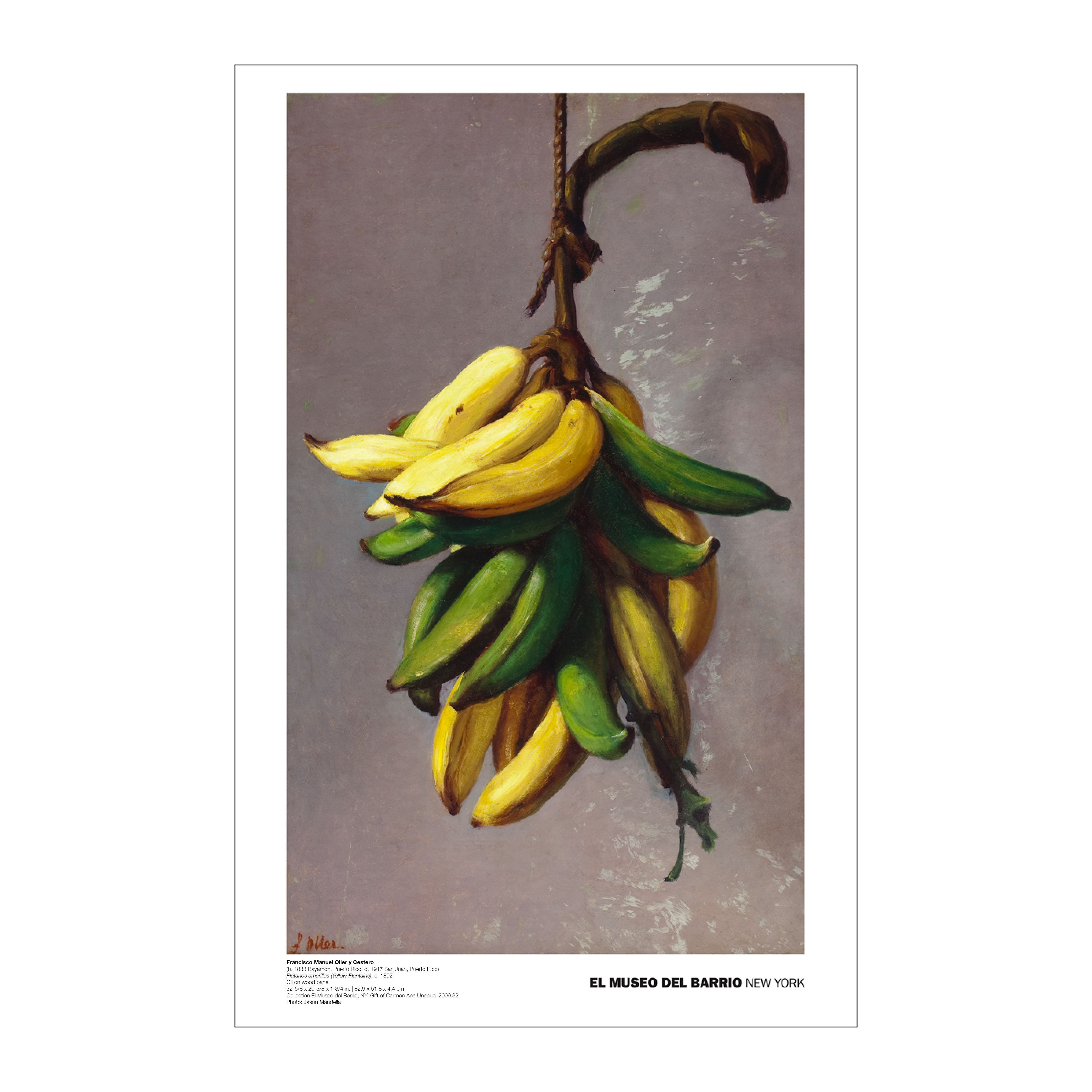 OLLER: PLATANOS | El Museo del Barrio